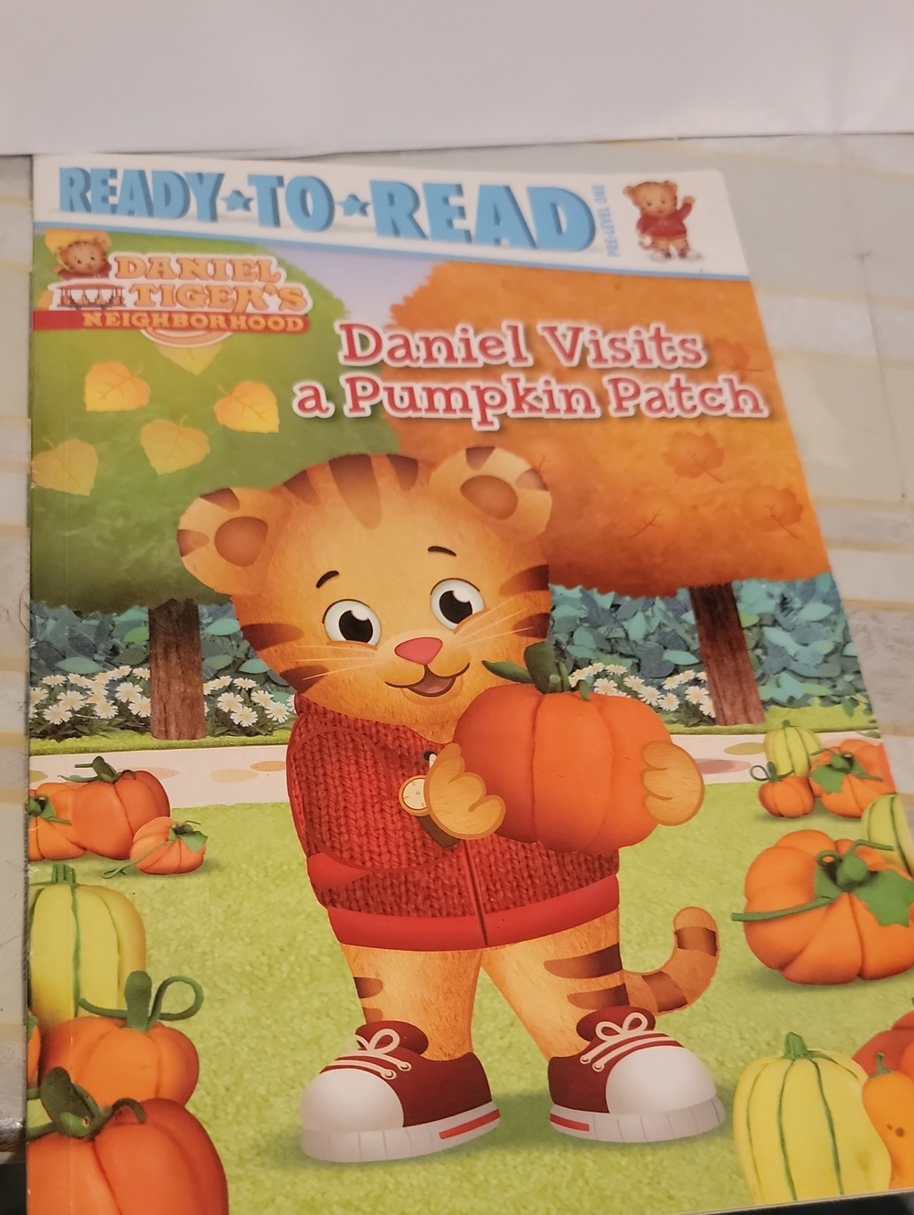Daniel Visits a Pumpkin Patch Kids Costume - Orange Sweater